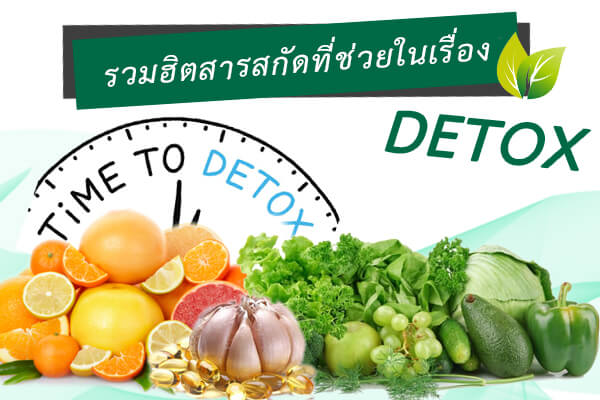 รวมฮิตสารสกัดที่ช่วยในเรื่อง รวมฮิตสารสกัดที่ช่วยในเรื่อง
