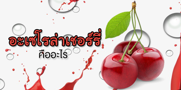 อะเซโรล่าเชอร์รี่คืออะไร