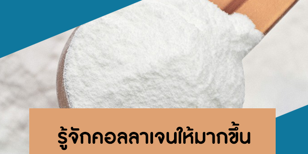 รู้จักคอลลาเจนให้มากขึ้นTDH