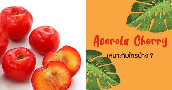 Acerola Cherry เหมาะกับใครบ้าง