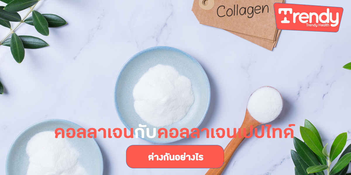 คอลลาเจนกับคอลลาเจนเปปไทด์ต่างกันอย่างไรTDH คอลลาเจน