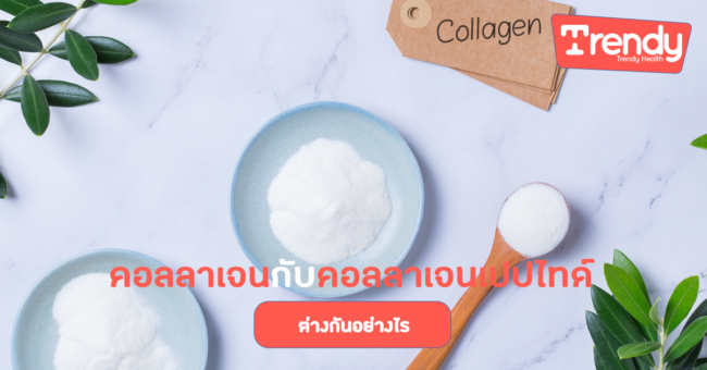 คอลลาเจนกับคอลลาเจนเปปไทด์ต่างกันอย่างไรTDH คอลลาเจน